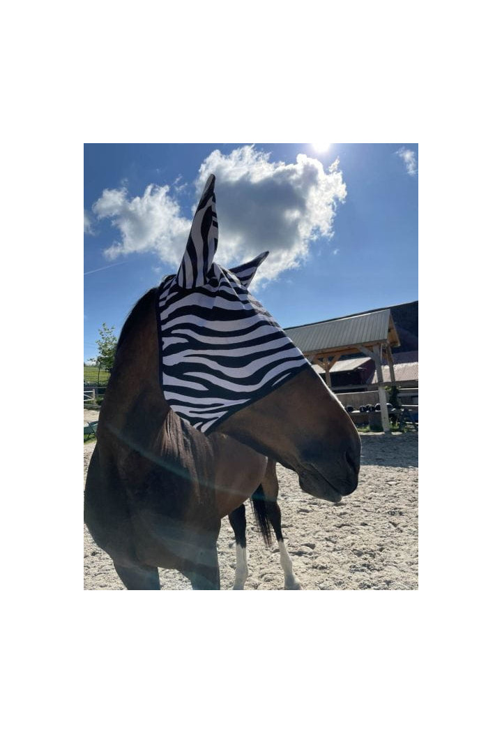 Fly mask START Zebra