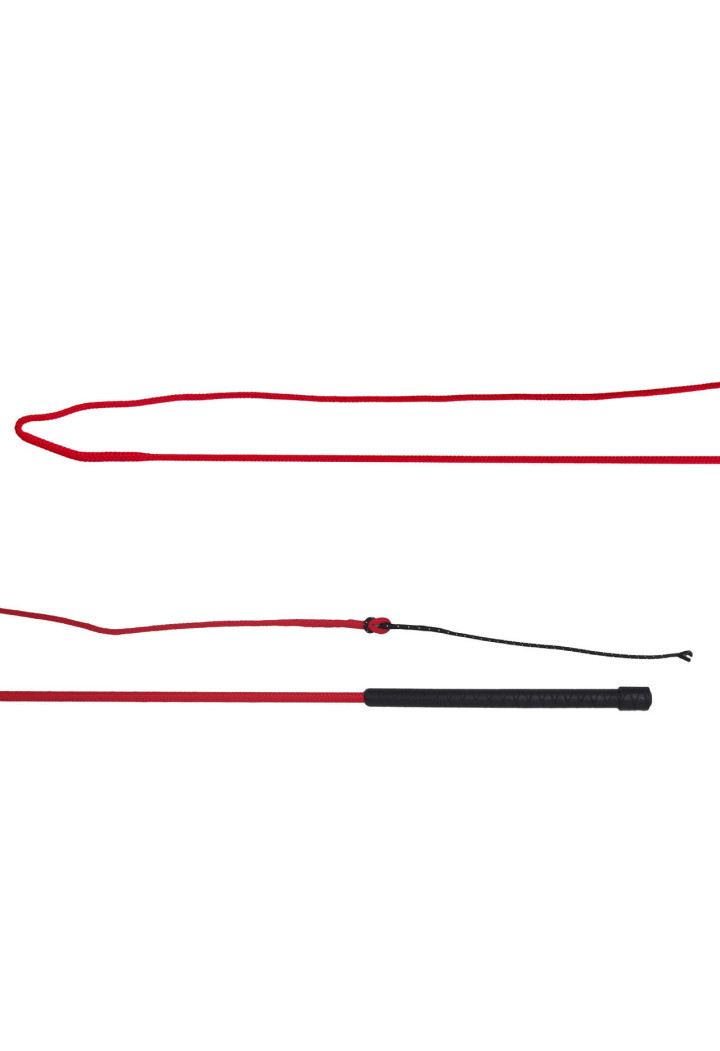 Lunge whip QHP Divisible