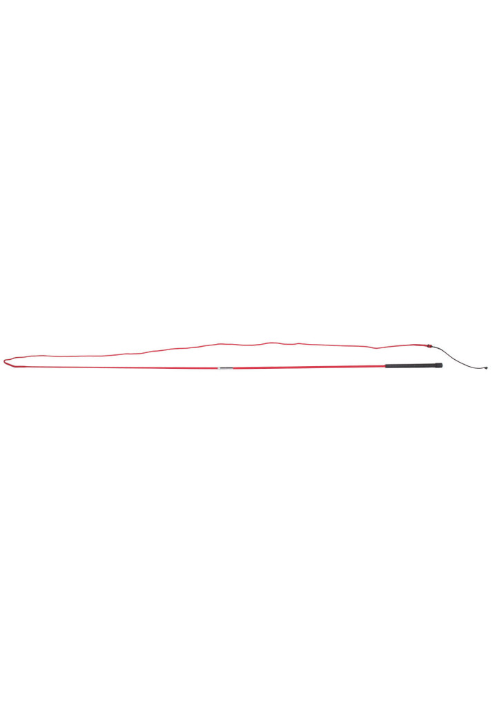 Lunge whip QHP Divisible