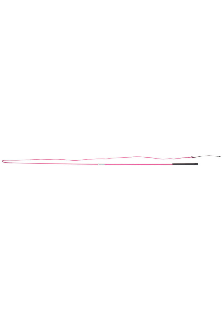 Lunge whip QHP Divisible