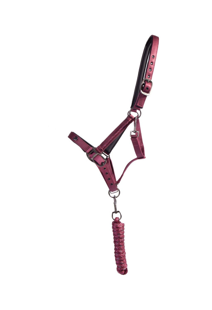Headcollar QHP Lily from lead rope