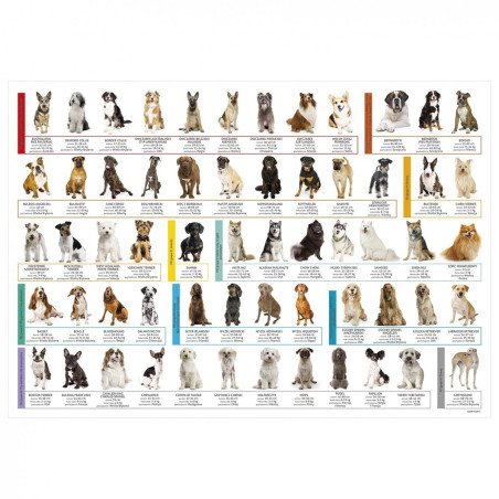 Desk mat DERFORM Rasy dogs