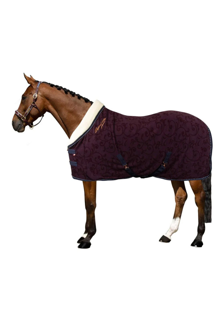 Fleece rug dehumidifying IRH SuperDry