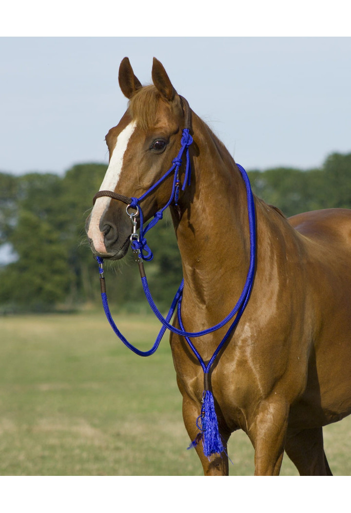 Căpăstru string+ dârlogi +cordeo QHP Liberty
