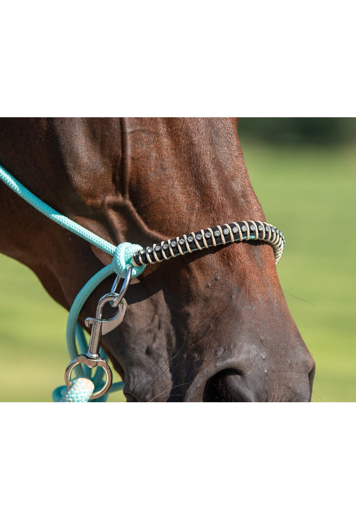 Halfter string+ Zügel +cordeo QHP Liberty