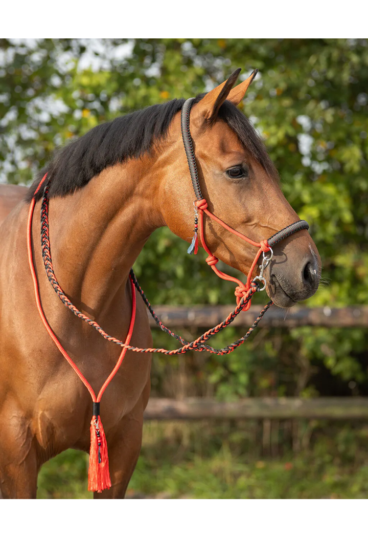 Căpăstru string+ dârlogi +cordeo QHP Liberty