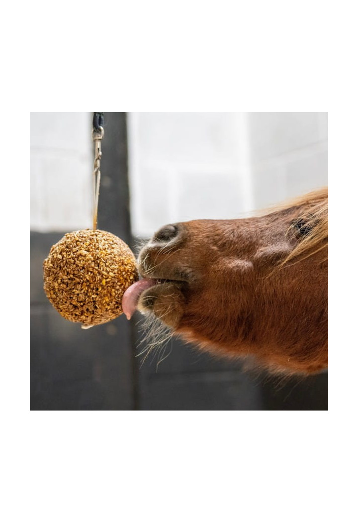 Leckstein LIKIT Granola Stall Ball Pfefferminze 1,6kg