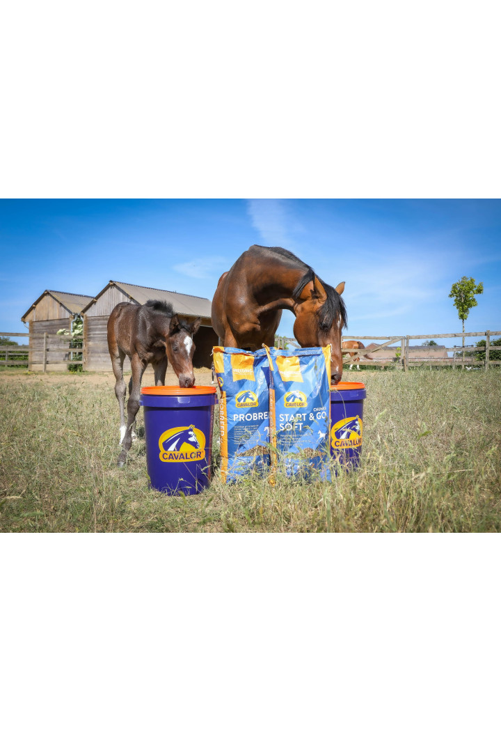 Pasza dla klaczy hodowlanych CAVALOR Probreed Mix 20kg musli