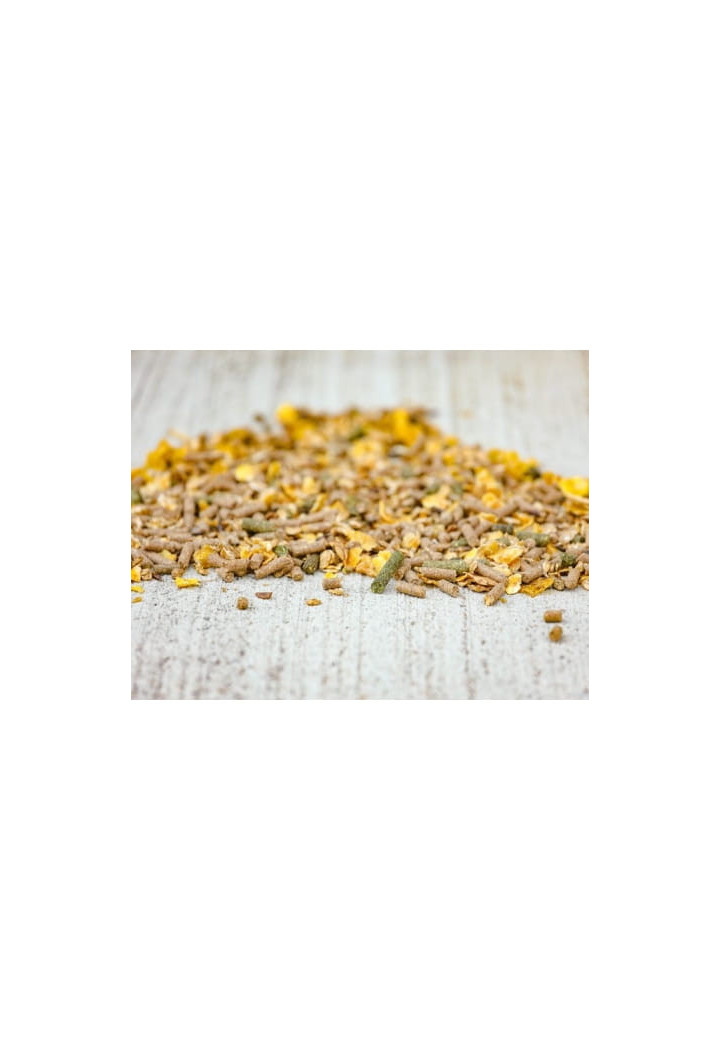 Feed CAVALOR Action Mix 20kg musli