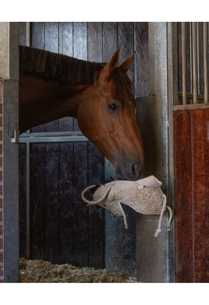 Spielzeug für Pferde QHP Horse