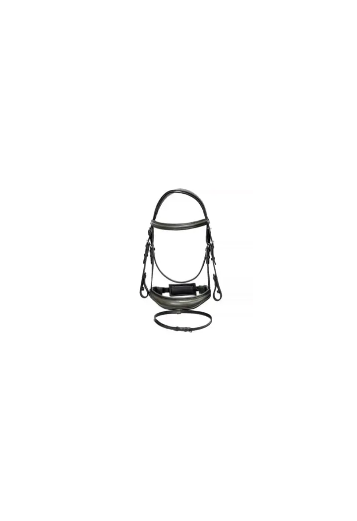 Bridle EQ.QUEEN Ganymede