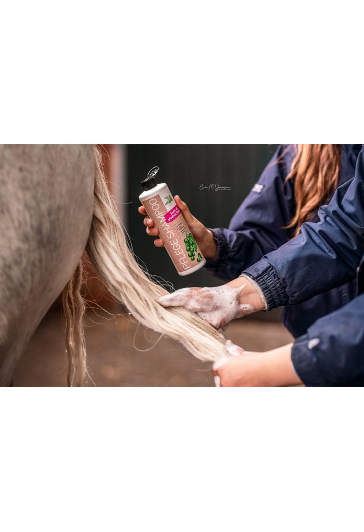 B&E shampoo PflegeShampo 500ml