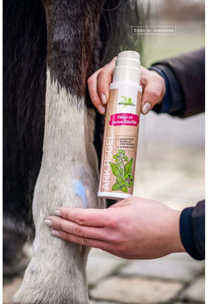 B&E gel de răcire ArktisGel camfor/menthol 200ml