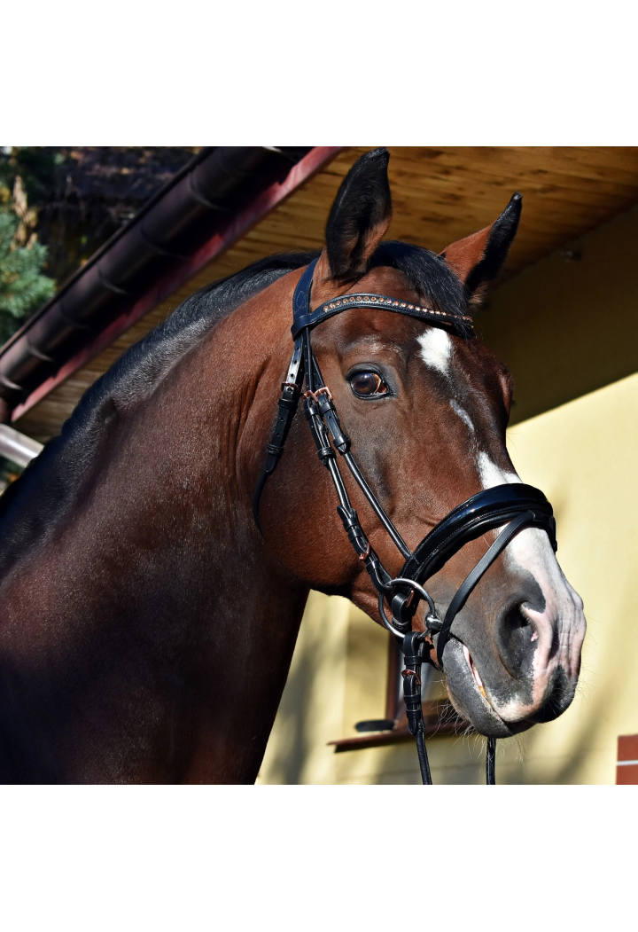 Trense EQ.QUEEN Io