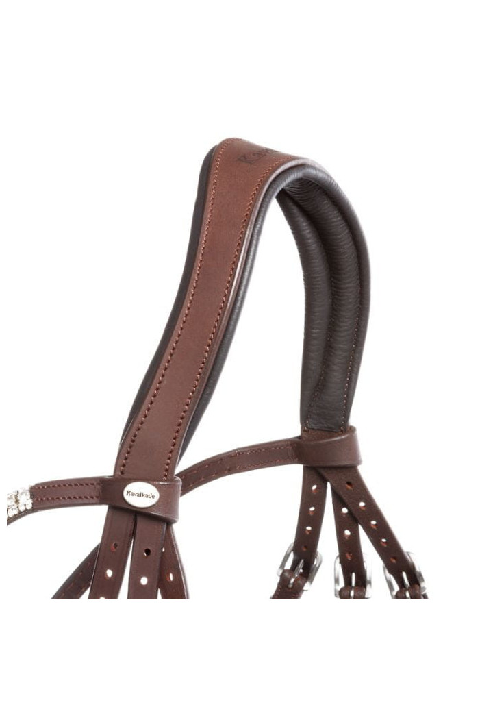 Uzdečka KAVALKADE Everness