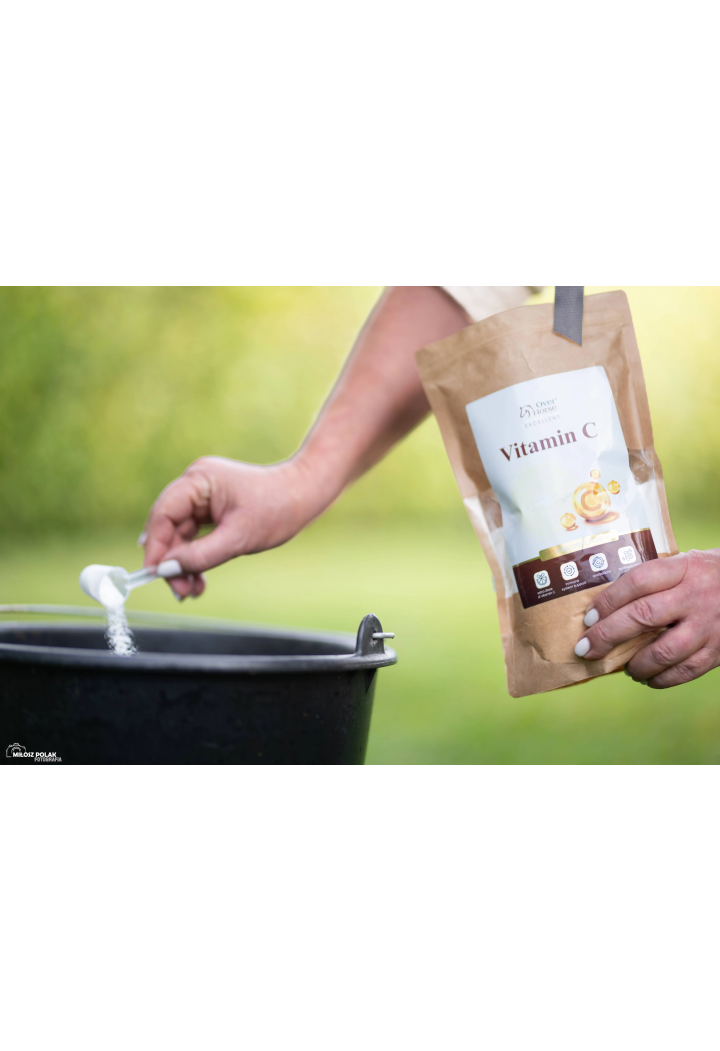Witamina C OH Vitamin C 600g