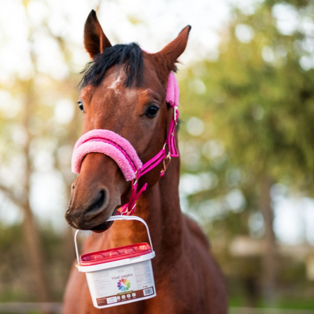 Vitamins for horses OH VitaComplex 3kg