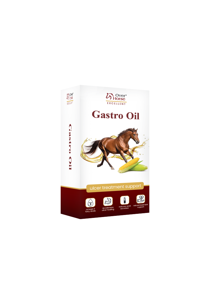 Ulei pentru cai de ulcer OH GastroOil 2x1l