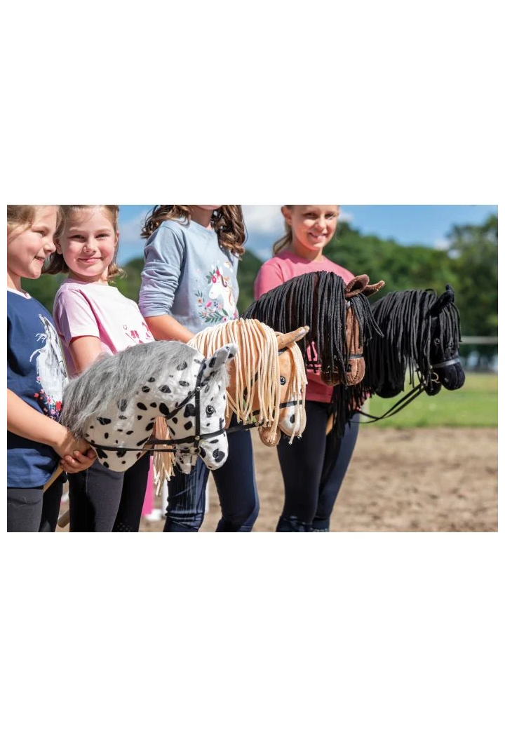 Cavallino sul bastone HKM Hobby Horse