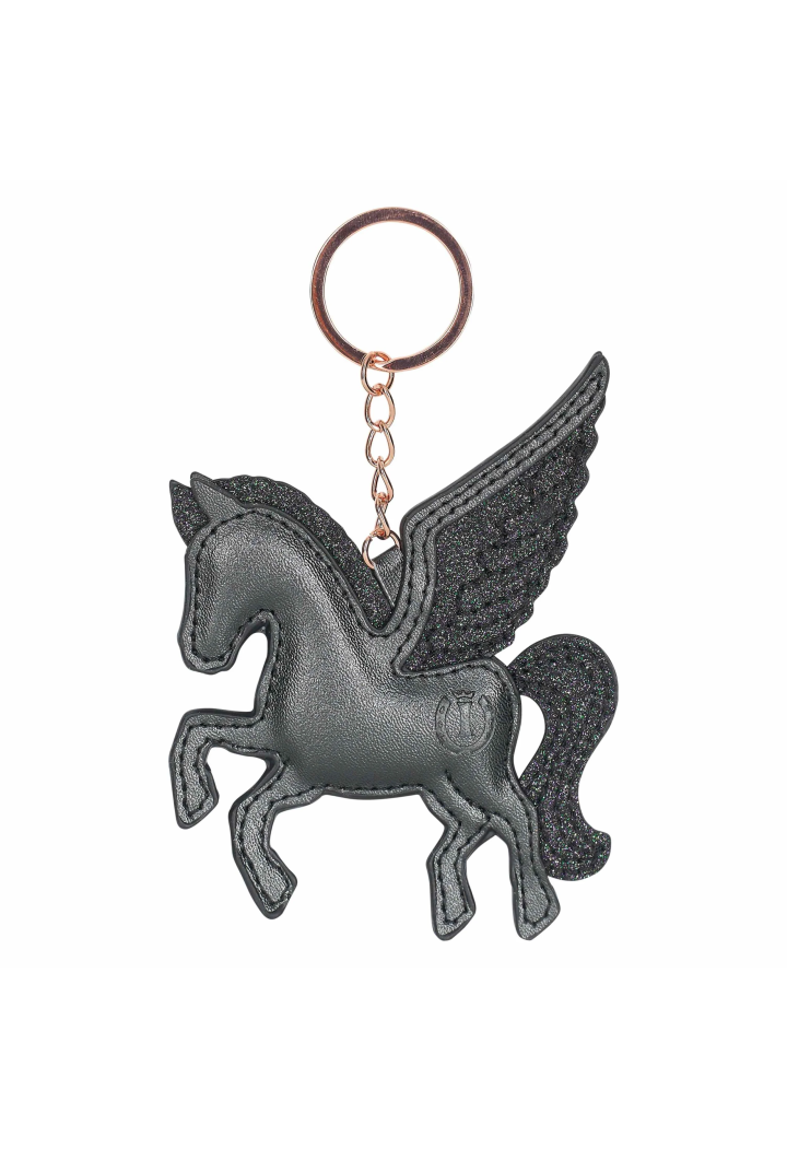Portachiavi chiavi per IR IRHKey ToMyHorse