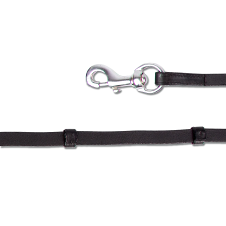 Dârlogi WALDHAUSEN Islandic Snap Hooks