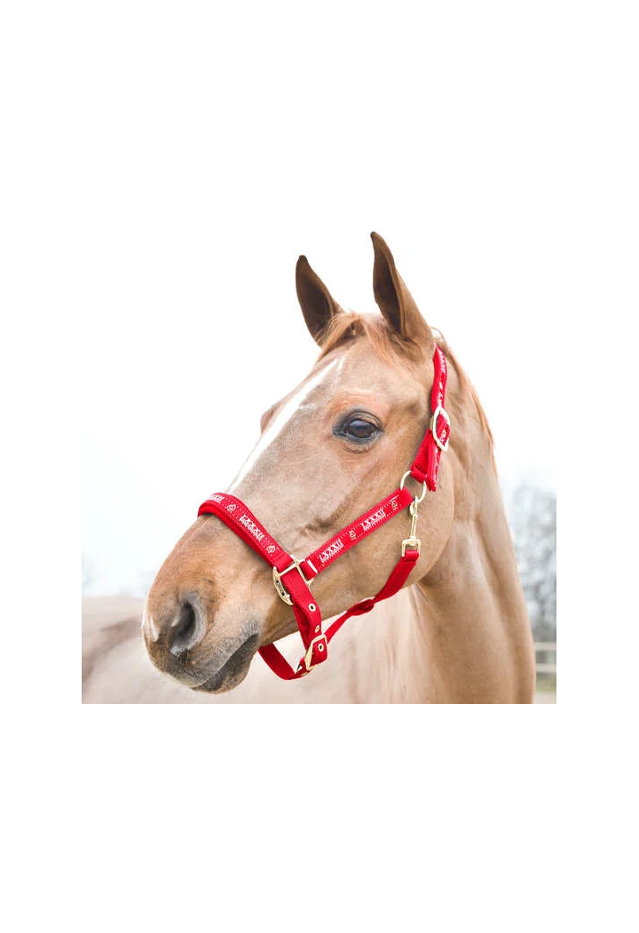 Headcollar HORZE Hampton