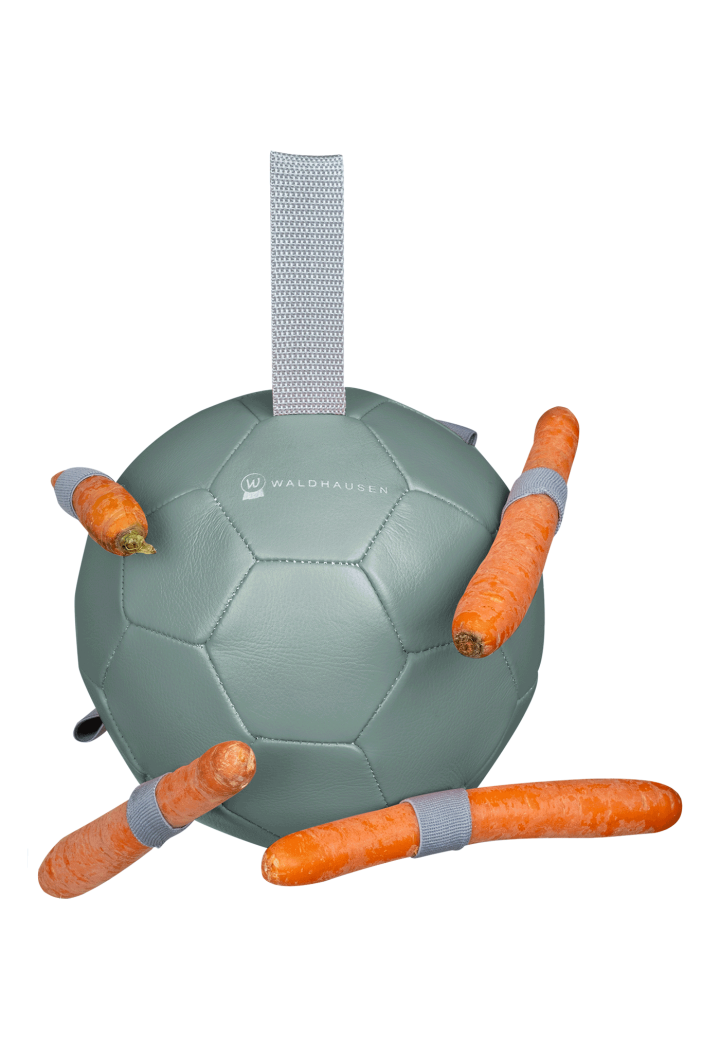 WALDHA CarrotBall palla di cavallo