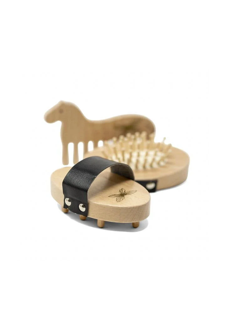 Spazzole e prelibatezze ASTRUP per HobbyHorse 8 el.