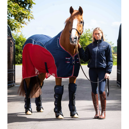 Protectori transp. PREMIER EQUINE Ballistic