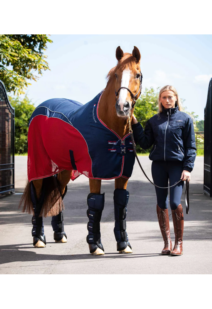 Protectori transp. PREMIER EQUINE Ballistic