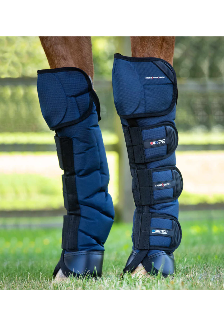 Transp Protektoren. PREMIER EQUINE Ballistic