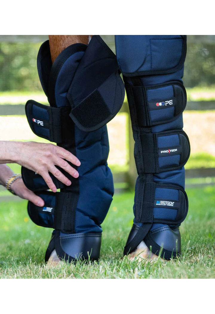 Transp protectors. PREMIER EQUINE Ballistic
