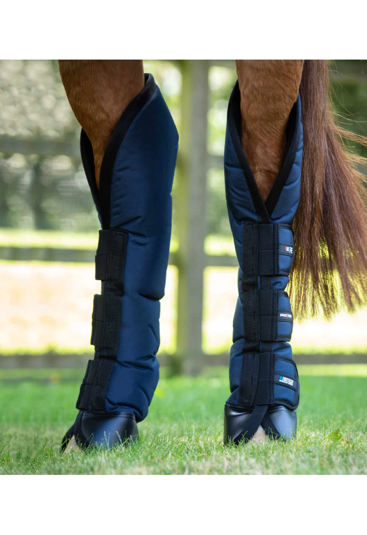 Protectori transp. PREMIER EQUINE Ballistic