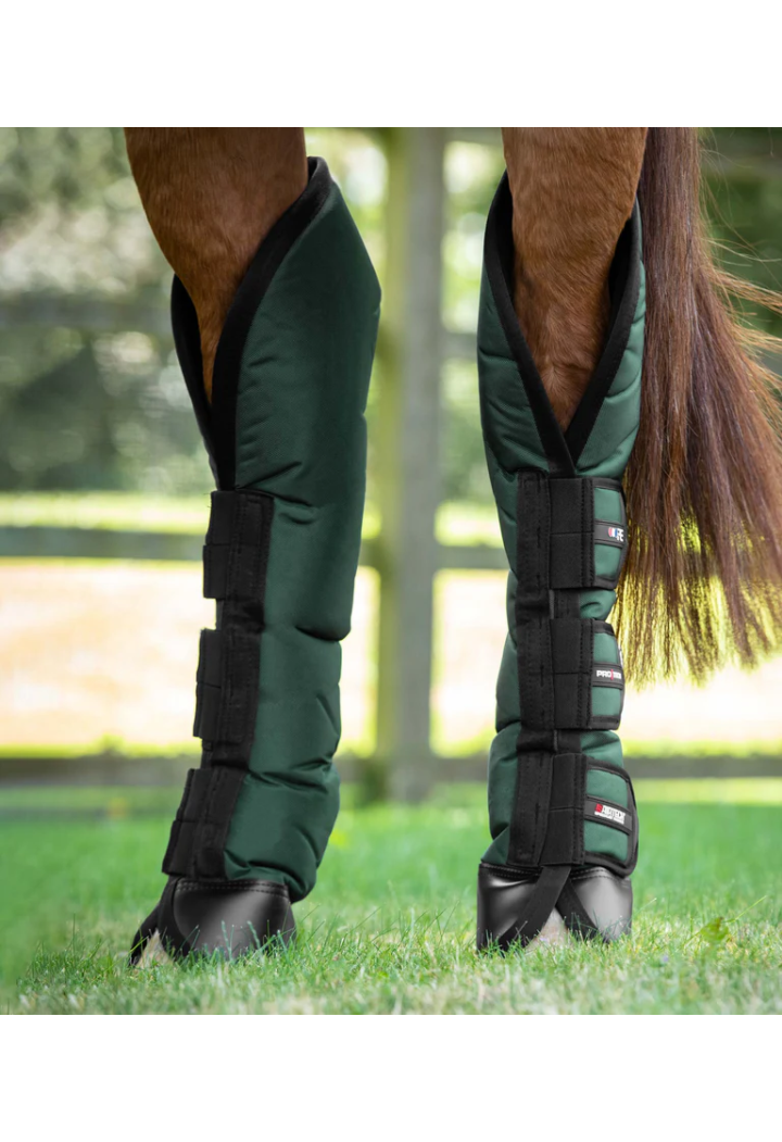 Protectori transp. PREMIER EQUINE Ballistic