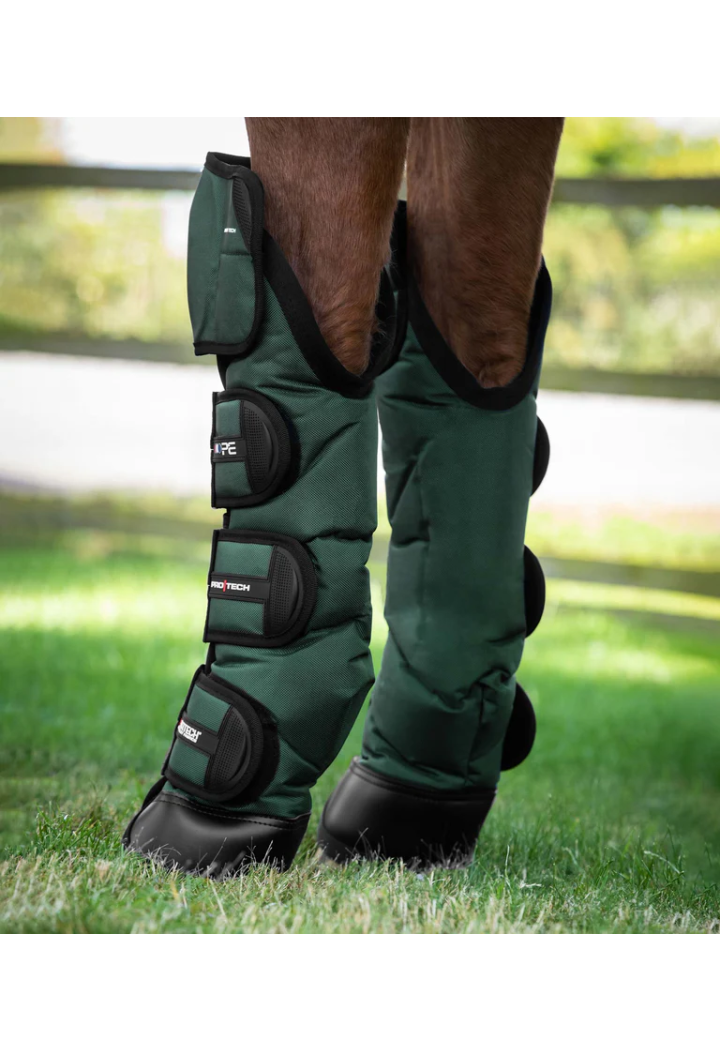 Transp protectors. PREMIER EQUINE Ballistic