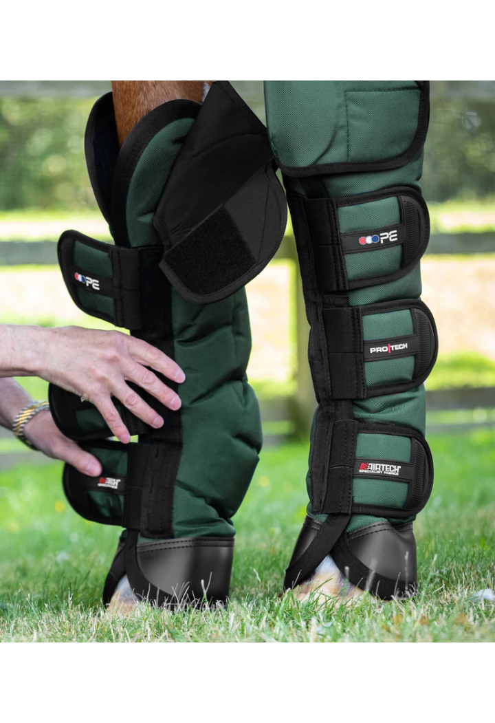 Transp Protektoren. PREMIER EQUINE Ballistic