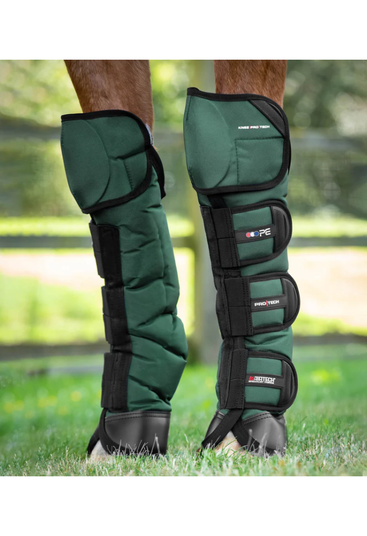 Transportní chrániče. PREMIER EQUINE Ballistic