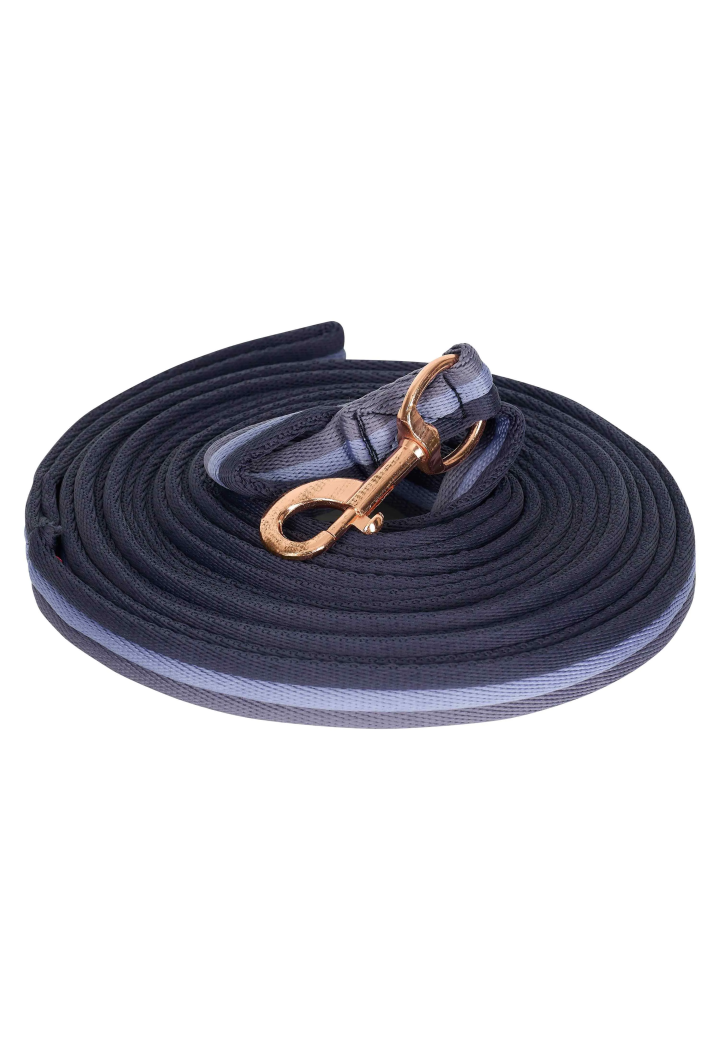 Lunge line IR Lunging