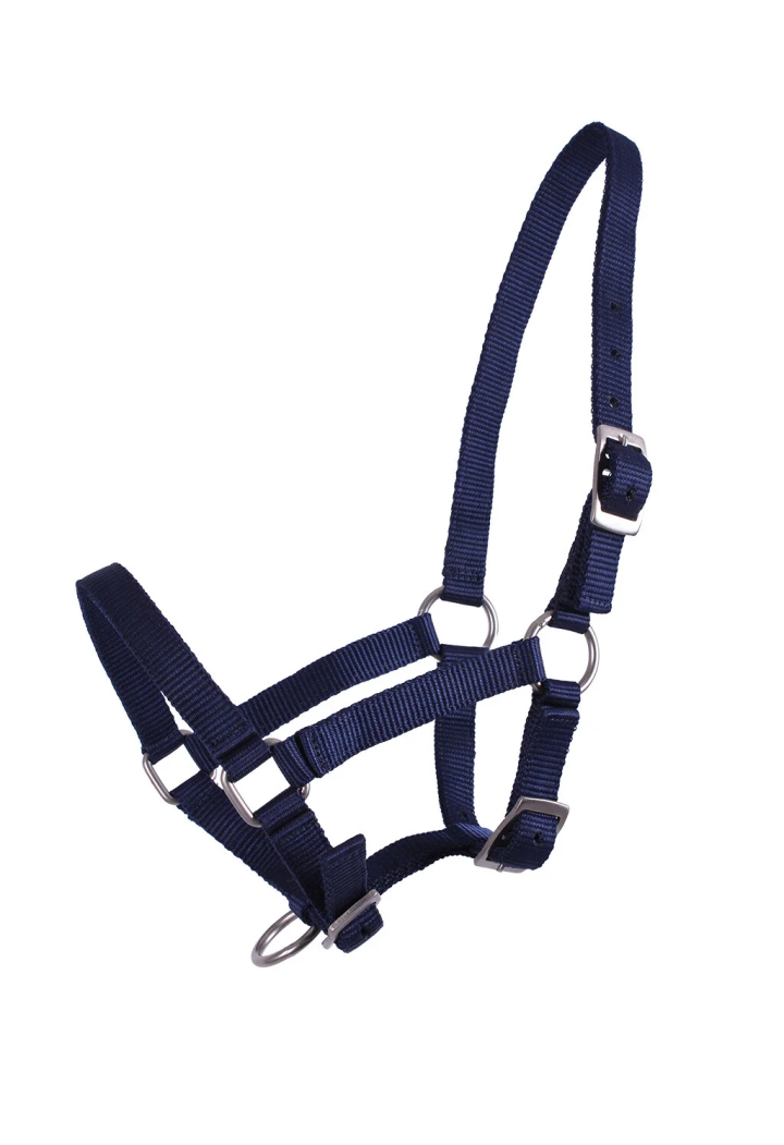 Headcollar foals QHP Falabella