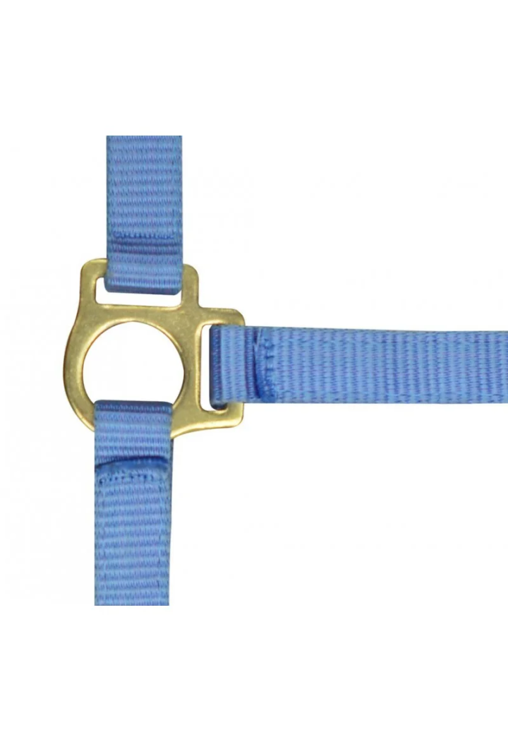 Headcollar EKKIA headcollar + lead oil