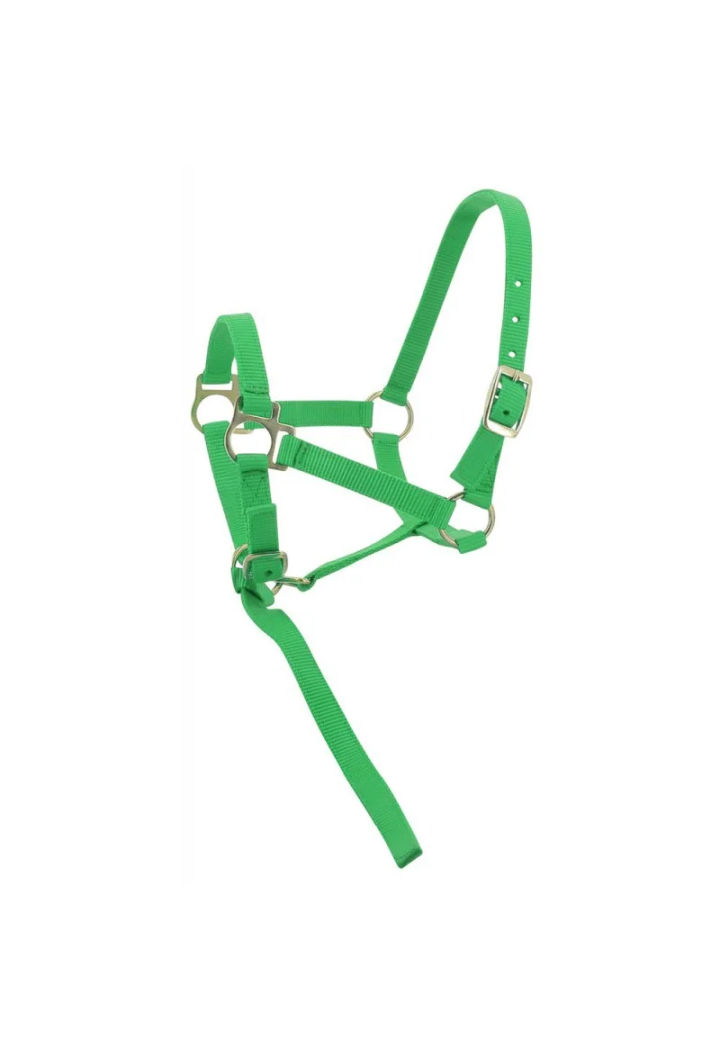 Headcollar EKKIA headcollar + lead oil