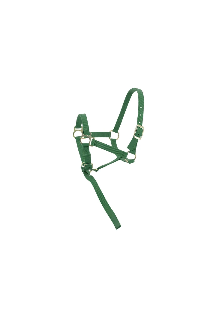 Headcollar EKKIA headcollar + lead oil