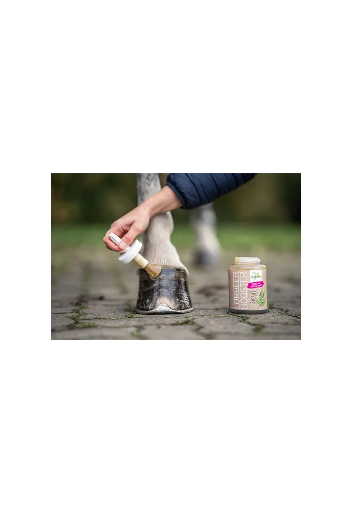 Huföl B&E LorbeerBooster 450ml