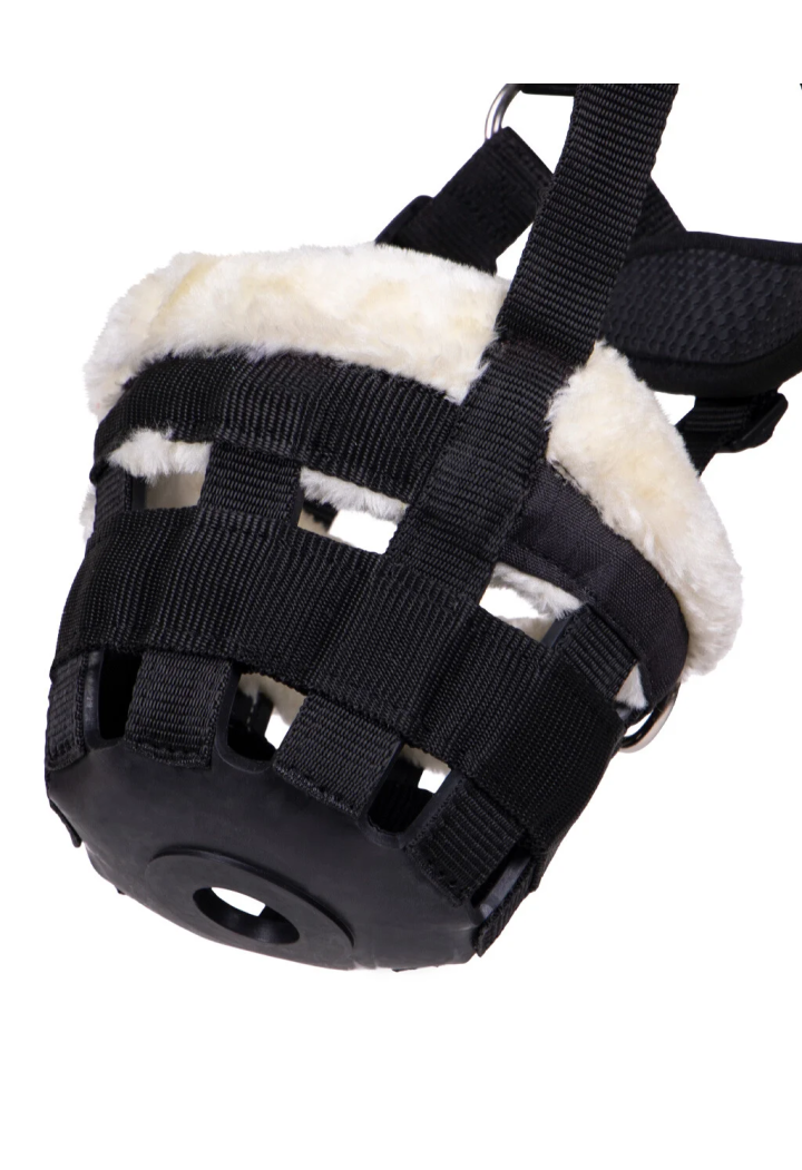 QHP Fur Mündung