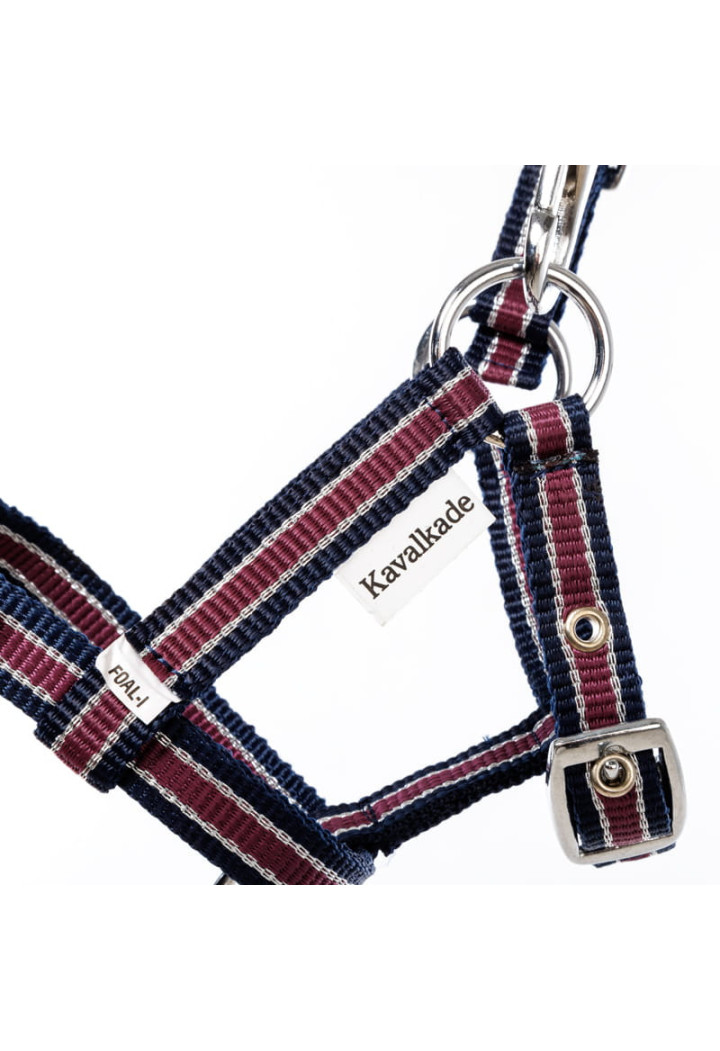 29106
