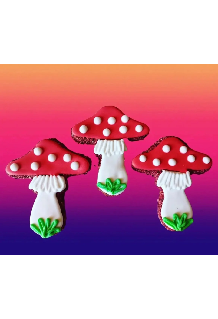 Cookie PAKA DLA RUMAKA Muchomor