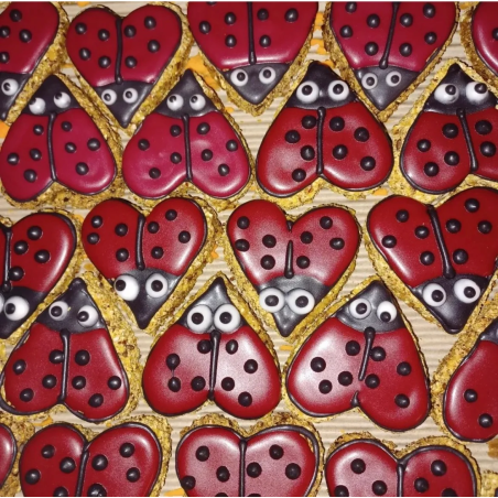 Cookie PAKA DLA RUMAKA Biedronka CzerwonaZ