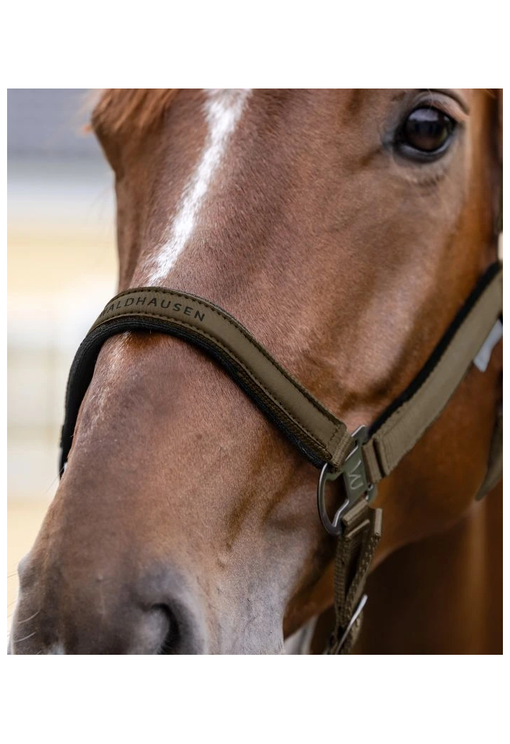 Headcollar WALDHAUSEN Athletic