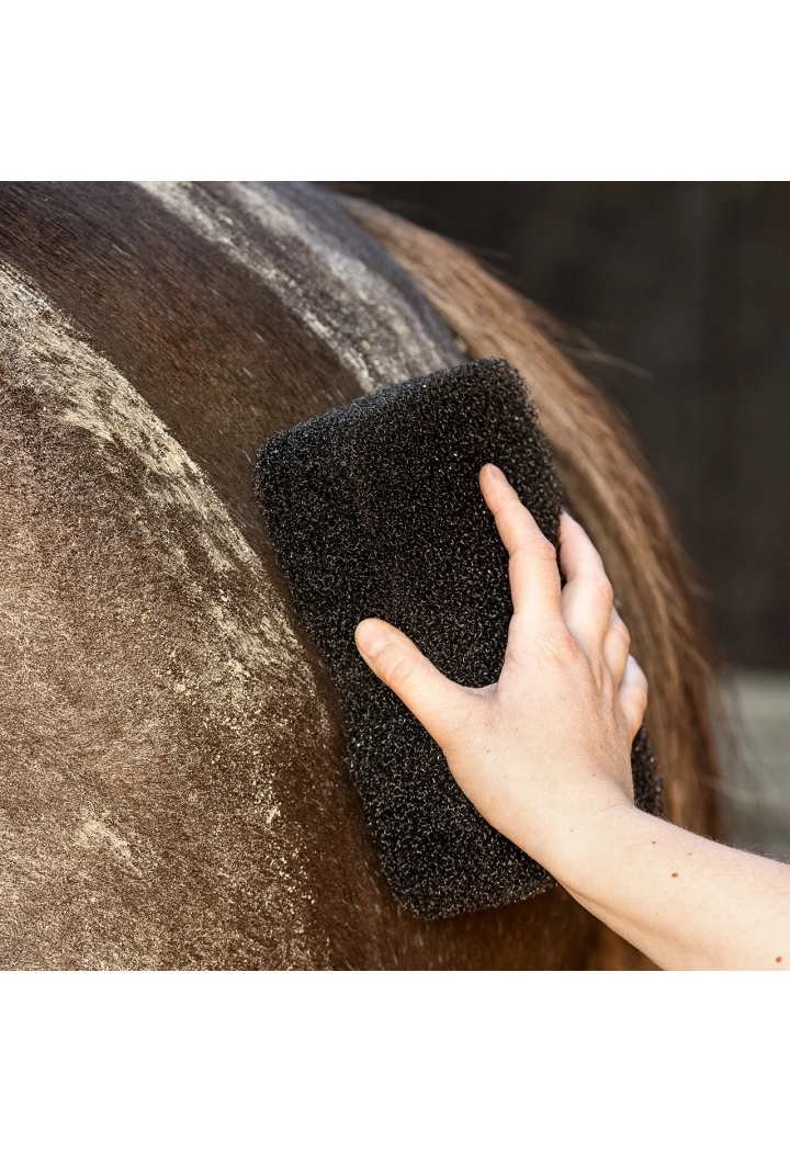 Sponge- Tun QHP Equi Super Shiner