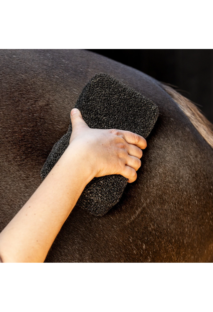 Sponge- Tun QHP Equi Super Shiner